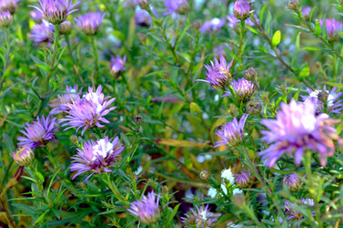 Similar image 22363770