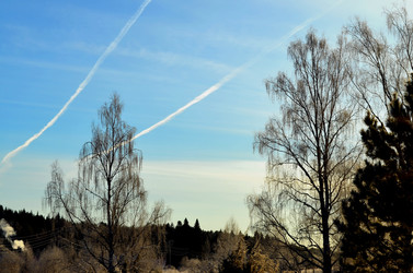 Similar image 22363771