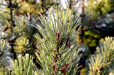 Similar image 22363773