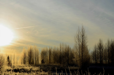 Similar image 22363774