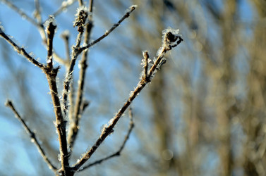 Similar image 22363778