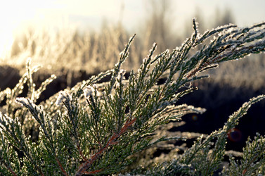 Similar image 22363779