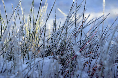 Similar image 22363780