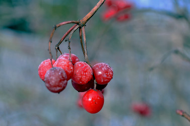 Similar image 22363781