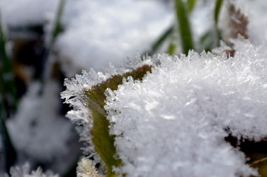 Similar image 22363783