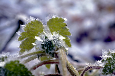 Similar image 22363784