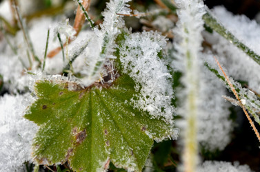 Similar image 22363785