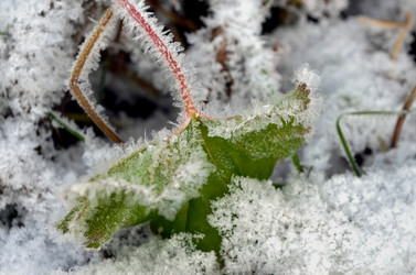 Similar image 22363786