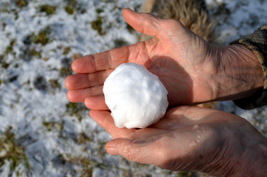 Similar image 22371569