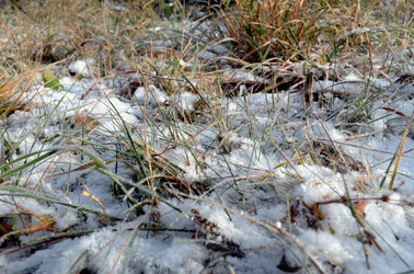 Similar image 22371571