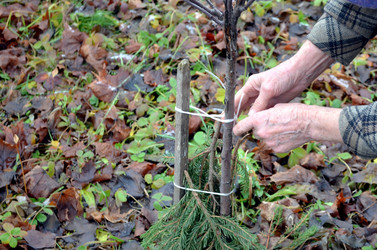 Similar image 22371576