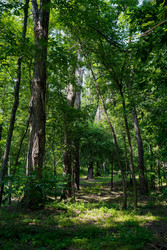 Similar image 22363933