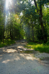 Similar image 22363934