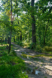 Similar image 22363935