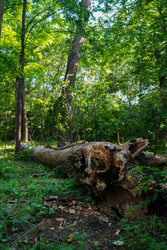 Similar image 22363936