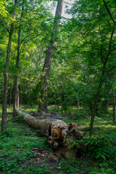 Similar image 22363937