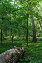 Similar image 22363948