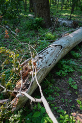 Similar image 22363949