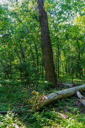 Similar image 22363950