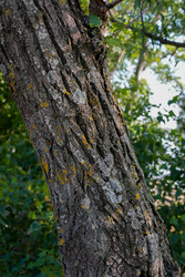 Similar image 22363951