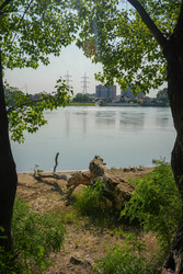 Similar image 22363952