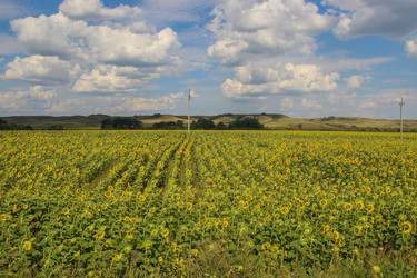 Similar image 22363967