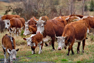 Similar image 22362687