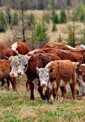 Similar image 22362688