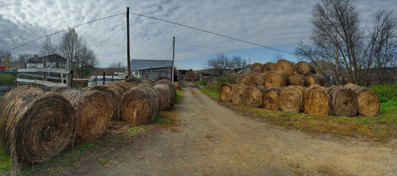 Similar image 22362690