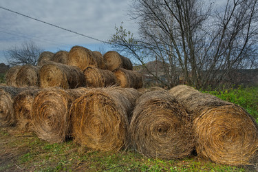 Similar image 22362691