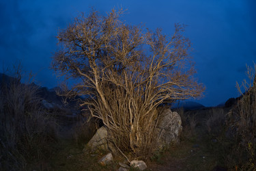 Similar image 22362705