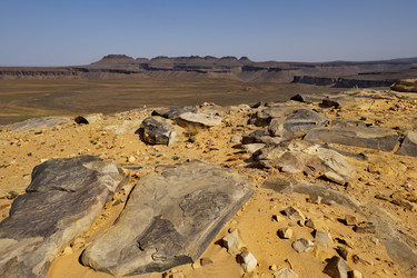 Similar image 22362711