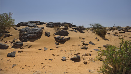 Similar image 22362713