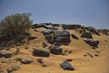 Similar image 22362714