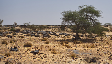 Similar image 22362715