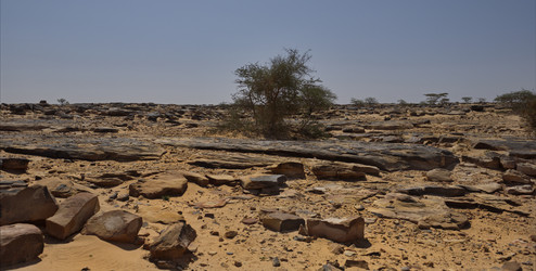 Similar image 22362716