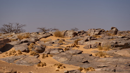 Similar image 22362718