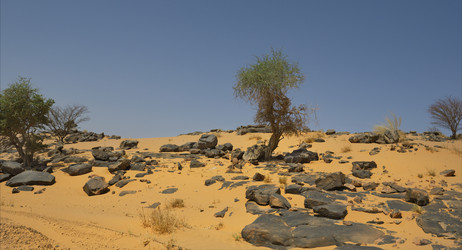 Similar image 22362720