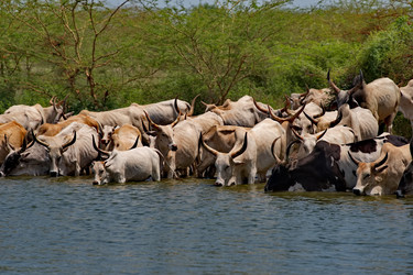 Similar image 22362722