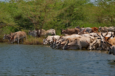 Similar image 22362723