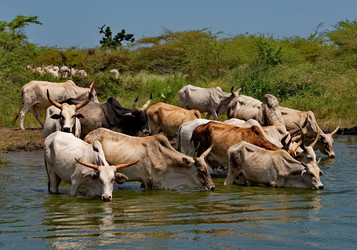 Similar image 22362727