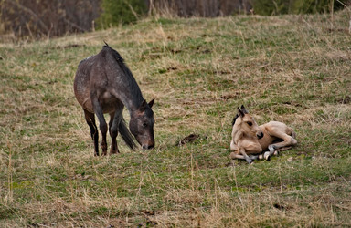 Similar image 22362728