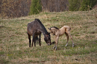 Similar image 22362730