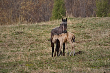 Similar image 22362731