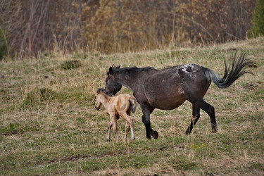 Similar image 22359089