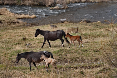 Similar image 22359090