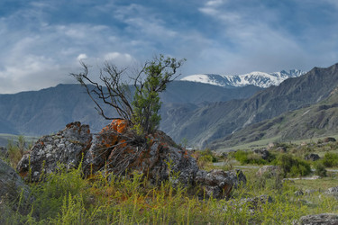 Similar image 22359094