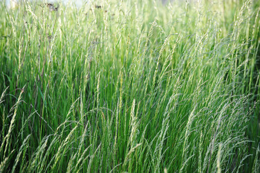 Similar image 22375617