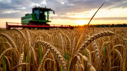 Similar image 22373816