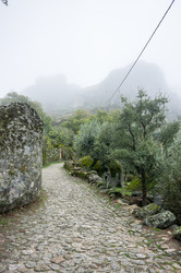 Similar image 22365477